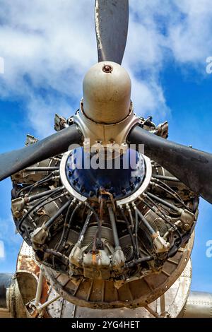 Ein altes Propellerflugzeug in Ushuaia Argentinien Stockfoto