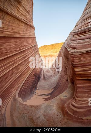 The Wave (wellige, gestreifte Navajo-Sandsteinformationen) in North Coyote Buttes im Vermilion Cliffs National Monument, Arizona. Stockfoto