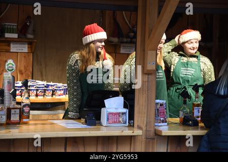 Kopenhagen/Dänemark/06 November 2024/Weihnachtsmarkt im Hojbro plads im Herzen der dänischen Hauptstadt Kopenhagenb. (Foto. Francis Joseph Dean/Dean Pictures) (nicht für kommerzielle Zwecke) Stockfoto