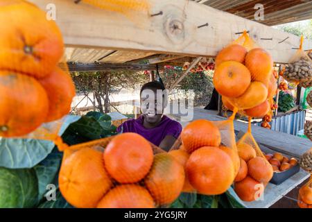 Glückliches afrikanisches Straßenhändler-Dorf, Frau mit kurzen Haaren, Hütte mit Gemüse und Obst Stockfoto