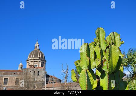 Kuppel der Metropolitan Cathedral of Saint Agatha, die in der Regel als Catania Cathedral und Euphorbia ingens bekannt ist. Catania, Sizilien, Italien. Stockfoto