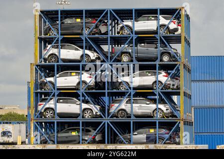 Miami, Florida, USA - 1. Dezember 2023: Neue Autos in Frachtcontainern, die auf Containerschiffen am Hafen von Miami eingesetzt werden Stockfoto