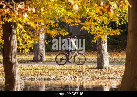 Herbst im Unteren Schlossgarten in Stuttgart. Radfahrer unterwegs im hebstlichen Park. // 05.10.2024: Stuttgart, Baden-Württemberg, Deutschland *** Au Stockfoto