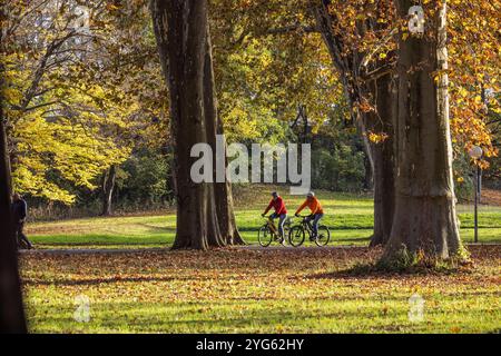 Herbst im Unteren Schlossgarten in Stuttgart. Radfahrer unterwegs im hebstlichen Park. // 05.10.2024: Stuttgart, Baden-Württemberg, Deutschland *** Au Stockfoto