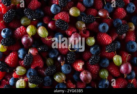 Textur frischer Beeren Fruchtsorte und Beeren Himbeeren, Johannisbeeren, schwarzen Beeren Heidelbeeren Maulbeeren und Brombeeren. Stockfoto