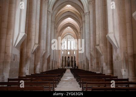 Alcobaca, Portugal - 2. Juni 2024 - Schiff der Klosterkirche Alcobaca, Portugal Stockfoto