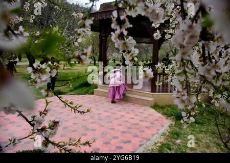 Srinagar, Kaschmir. 21. März 2021. Einheimische und Besucher genießen die Landschaft und den Badamwari-Garten und seine blühenden Mandelbäume in Srinagar, im indischen Kaschmir. Der Garten, der am 21. März für die Öffentlichkeit geöffnet wurde, befindet sich in den Ausläufern des historischen Hari Parbat oder „Koh-e-Maran“ Hügels mit der Festung Durrani und ist ein wichtiger Ort in Srinagar sowohl für Einheimische als auch für Touristen Stockfoto