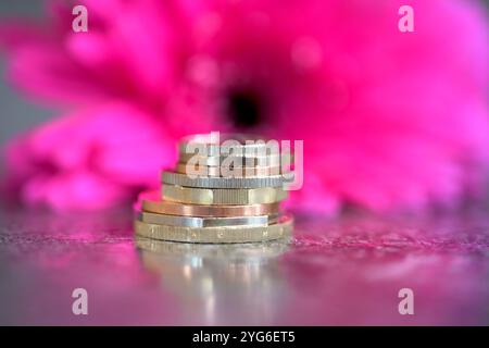 Sterling-Münzen, seine Königliche Hoheit König Karl III., stehend auf einem schwarzen reflektierenden Oberteil mit einer rosa Gerbera-Blume Stockfoto