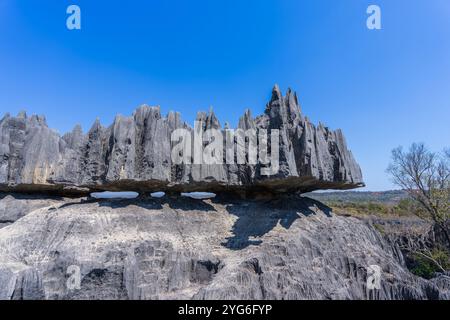 Hoch aufragende Kalksteinkarstformationen bilden die atemberaubende Landschaft des Tsingy de Bemaraha Nationalparks. Scharfe, zerklüftete Gipfel und tiefe Canyons Stockfoto