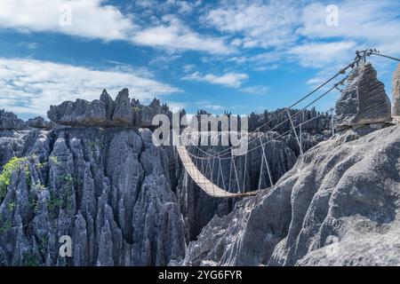 Eine Hängebrücke erstreckt sich über eine tiefe Schlucht in den dramatischen Kalksteinkarstformationen des Tsingy de Bemaraha Nationalparks. Die Brücke bietet einen Stockfoto