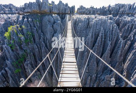 Eine Hängebrücke erstreckt sich über eine tiefe Schlucht in den dramatischen Kalksteinkarstformationen des Tsingy de Bemaraha Nationalparks. Die Brücke bietet einen Stockfoto