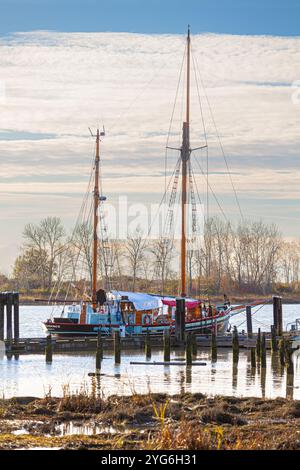 Ein großer Ketch, der an der Britannia Shipyard in Steveston, British Columbia, Kanada, ankert Stockfoto