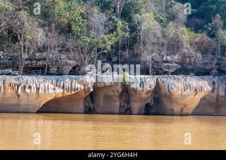 Ein Blick auf den Fluss Manambulo in Madagaskar, der die einzigartigen Kalksteinformationen zeigt, die durch Flusserosion entstanden sind. Die üppige Vegetation am Flussufer Co Stockfoto