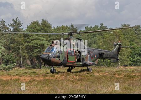 Royal Netherlands Air Force Cougar von 300 Quadratmetern RNLAF mit Sitz in Vliegbasis Gilze-Rijen Low Level Training GLV 5 Oirschotse Heide Donnerstag, 13. Juli 2023 Stockfoto