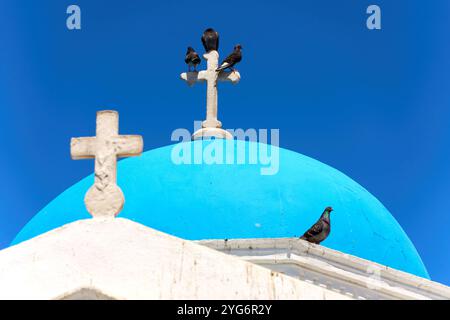 Mykonos, Griechenland - 7. Mai 2024: Blaue Kuppel einer orthodoxen Kirche mit Kreuzen und Tauben auf Mykonos vor klarem Himmel. Symbolisches Bild für griechische Kultur und Architektur. *** Blaue Kuppel einer orthodoxen Kirche mit Kreuzen und Tauben auf Mykonos vor klarem Himmel. Symbolbild für griechische Kultur und Architektur. Stockfoto