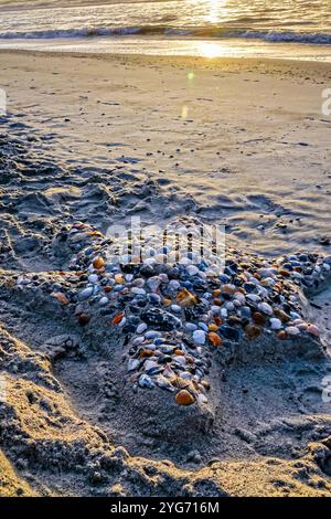 Isle Of Palms, Usa. November 2024. Eine Sand- und Muschelskulptur einer Meeresschildkröte am Strand bei Sonnenaufgang am Front Beach, 5. November 2024 in Isle of Palms, South Carolina. Quelle: Richard Ellis/Richard Ellis/Alamy Live News Stockfoto