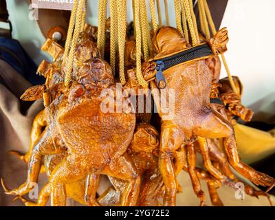 Kislowodsk, Russland - 02. Dezember 2023: Geldbörsen aus australischer Krötenhaut Stockfoto