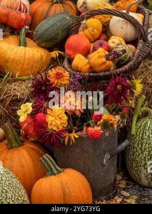 Erntefest: Korb mit Kürbissen und Kürbissen mit einem Eimer frisch geschnittener Dahlien im Vordergrund, der auf einem Strohballen steht Stockfoto