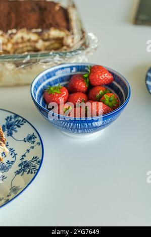 Hausgemachtes Tiramisu Stockfoto