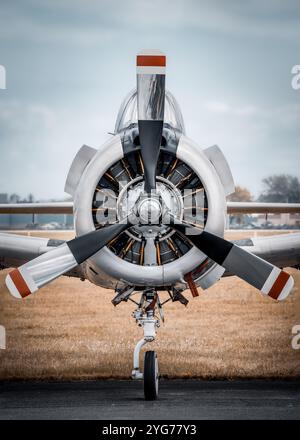 Motor eines historischen Jagdflugzeugs Stockfoto