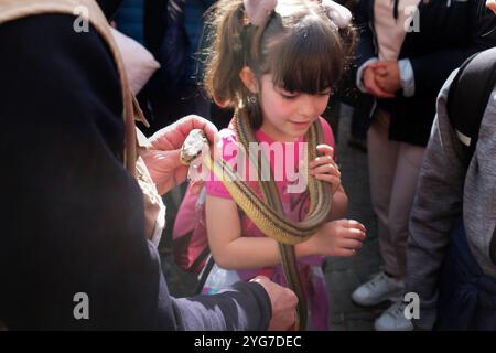 Fest von San Domenico. Das Kind hält Schlangen in der Hand als Zeichen der Hingabe und als Glücksbringer. Cocullo, Abruzzen, Italien Stockfoto