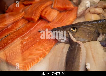 Frischlachs-Display mit Kopf auf einem Markt Stockfoto