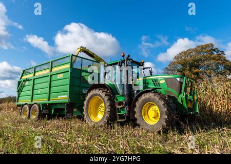 Walsh Agri Services erntet Mais für den in Bauravilla ansässigen Milchbauern Stephen Beamish mit einem John Deere 9600 Mähdrescher. Stockfoto