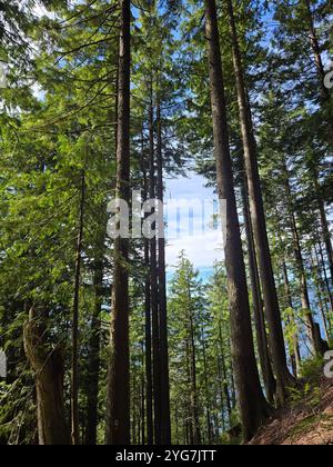 Fantastische Aussicht von den kanadischen Bergen Stockfoto