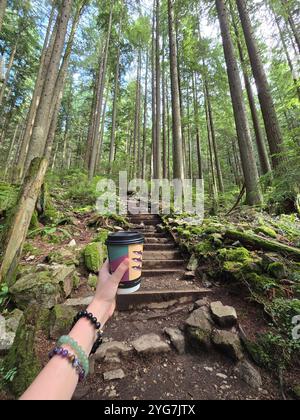 Fantastische Aussicht von den kanadischen Bergen Stockfoto