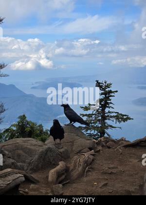 Fantastische Aussicht von den kanadischen Bergen Stockfoto