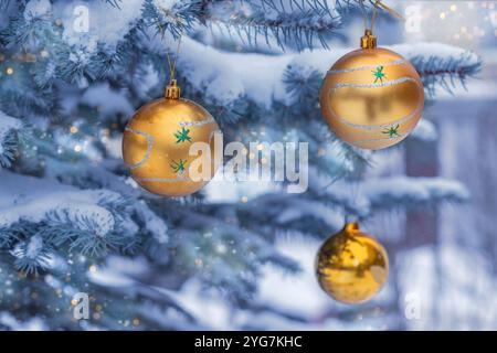 Blaue Fichte bedeckt mit Schnee und mit drei goldenen Weihnachtskugeln verziert. Im Freien am Wintertag. Postkarte. Stockfoto