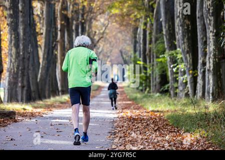 Herbst im Unteren Schlossgarten in Stuttgart. Spaziergänger, Radfahrer und Jogger in der hebstlichen Platanenallee. // 05.11.2024: Stuttgart, Baden-Wü Stockfoto