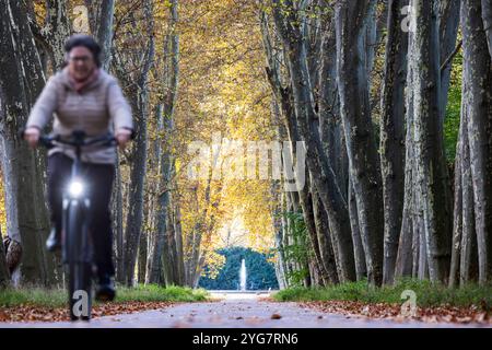 Herbst im Unteren Schlossgarten in Stuttgart. Spaziergänger, Radfahrer und Jogger in der hebstlichen Platanenallee. // 05.11.2024: Stuttgart, Baden-Wü Stockfoto