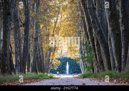 Herbst im Unteren Schlossgarten in Stuttgart. Spaziergänger, Radfahrer und Jogger in der hebstlichen Platanenallee. // 05.11.2024: Stuttgart, Baden-Wü Stockfoto