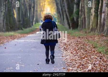 Herbst im Unteren Schlossgarten in Stuttgart. Spaziergänger, Radfahrer und Jogger in der hebstlichen Platanenallee. // 05.11.2024: Stuttgart, Baden-Wü Stockfoto