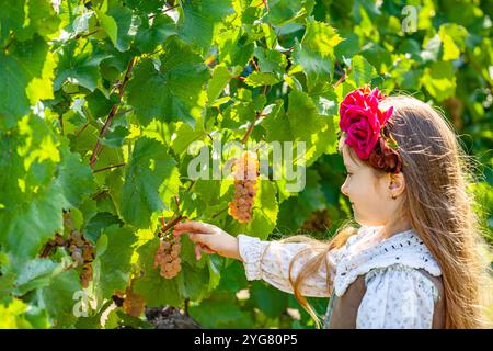 Mädchen sammelt Trauben in einem Weinberg, einen Korb mit Trauben und eine Flasche Wein, eine Collage zum Thema Weinherstellung und Geruchsproduktion Stockfoto