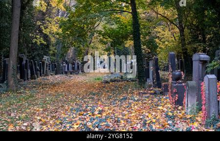 Vorkriegsgräber auf dem Neuen Jüdischen Friedhof im Prager Stadtteil Zizkow, Tschechische Republik. Fotografiert im Herbst mit gefallenen Blättern auf dem Boden. Stockfoto