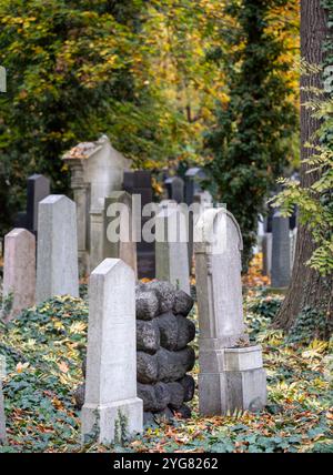 Vorkriegsgräber auf dem Neuen Jüdischen Friedhof im Prager Stadtteil Zizkow, Tschechische Republik. Fotografiert im Herbst mit gefallenen Blättern auf dem Boden. Stockfoto