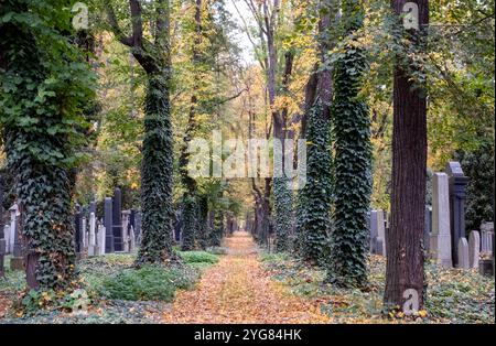 Vorkriegsgräber auf dem Neuen Jüdischen Friedhof im Prager Stadtteil Zizkow, Tschechische Republik. Fotografiert im Herbst mit gefallenen Blättern auf dem Boden. Stockfoto