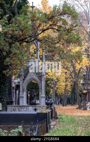 Vorkriegsgräber auf dem Neuen Jüdischen Friedhof im Prager Stadtteil Zizkow, Tschechische Republik. Fotografiert im Herbst mit gefallenen Blättern auf dem Boden. Stockfoto