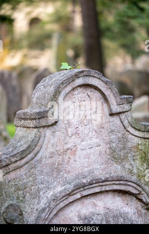 Historische Grabsteine auf dem überfüllten alten jüdischen Friedhof im Prager Ghettobereich in der Tschechischen Republik. Der Platz war begrenzt und die Gräber sind 10 tief. Stockfoto