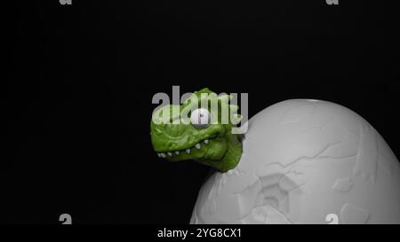 Dinosaurierkopf, der aus einem Ei auf schwarzem Hintergrund mit Kopierraum blickt Stockfoto
