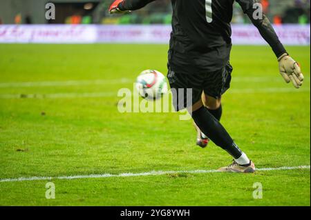 Torhüter tritt den Ball während des Fußballspiels aus einer 5 Meter langen Schlange Stockfoto