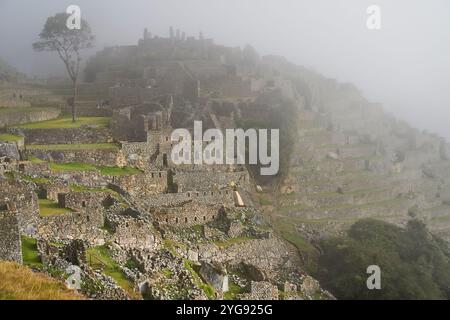 Ein nebeliger Morgen in Machu Pichu Stockfoto