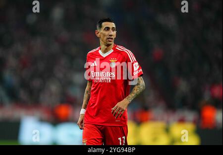 Allianz Areana, München, Deutschland. November 2024. Bayern München gegen Benfica bei Allianz Areana, München. Ulrik Pedersen/CSM/Alamy Live News Stockfoto