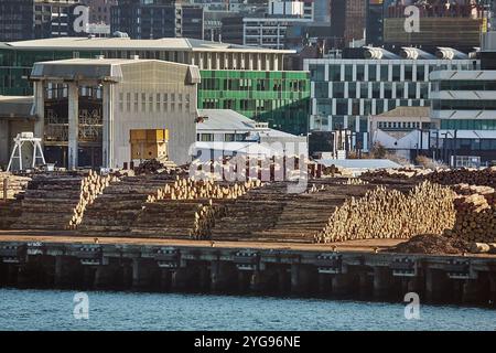 Baumstämme in einem Stapel, Holztransport in einem Seehafen Stockfoto