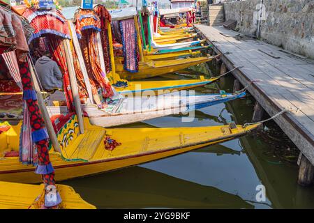 Rainawari, Srinagar, Jammu und Kaschmir, Indien. Farbenfrohe Ausflugsboote am Lake Dal. Stockfoto