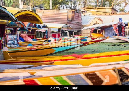 Rainawari, Srinagar, Jammu und Kaschmir, Indien. Farbenfrohe traditionelle Shikara-Boote am Dal-See. Stockfoto