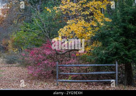 Farbenfroher Coutryside Fence and Leaves, Massachusetts, USA Stockfoto