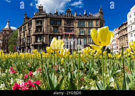 Helle Tulpen in Blüte am Plaza de Federico Moyua oder am Plaza Elíptica mit Chavarri-Palast im Zentrum von Bilbao, Baskenland, Spanien Stockfoto